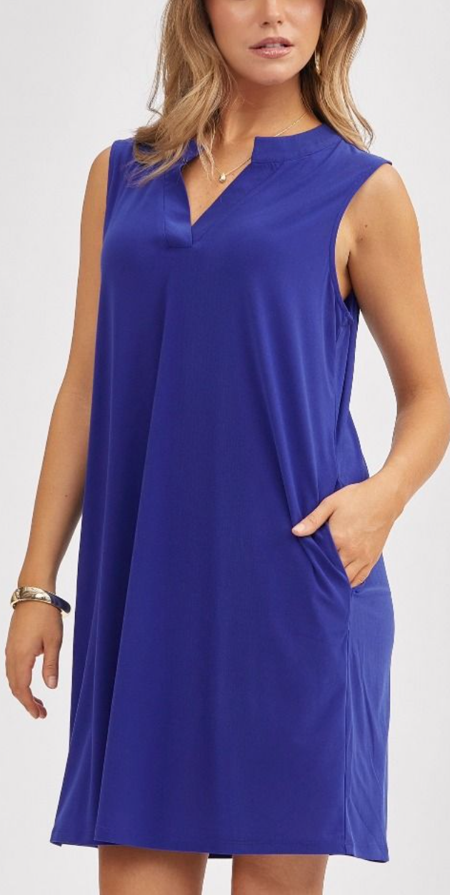 A-Line Mandarin Collar Dress with Pleated Back - Wrinkle-Free Knit