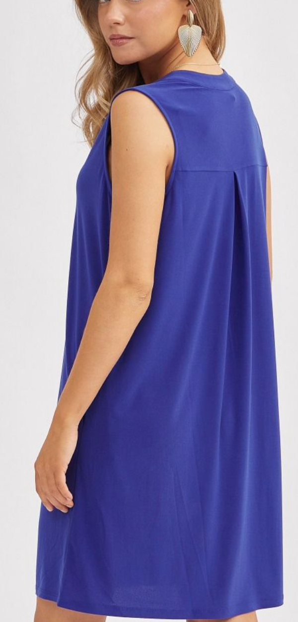 A-Line Mandarin Collar Dress with Pleated Back - Wrinkle-Free Knit